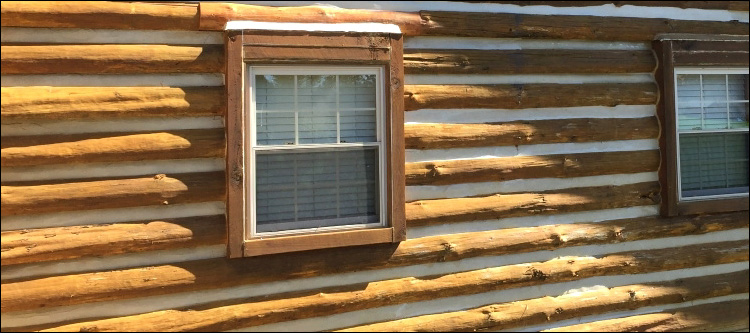Log Home Whole Log Replacement  Elizabeth City,  North Carolina