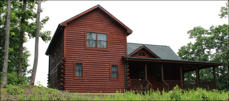 Professional Log Home Borate Application  Pasquotank County,  North Carolina